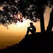 profile alone dp